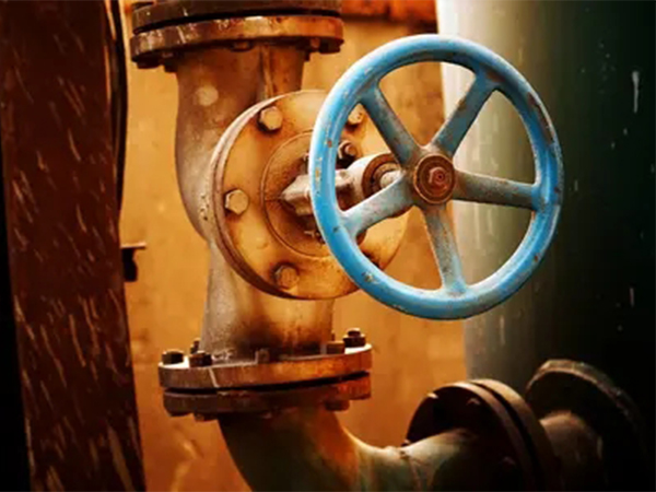 ���P��y�T�����P�g��ԭ��