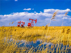 �������������e���������|(zh��)��Ч